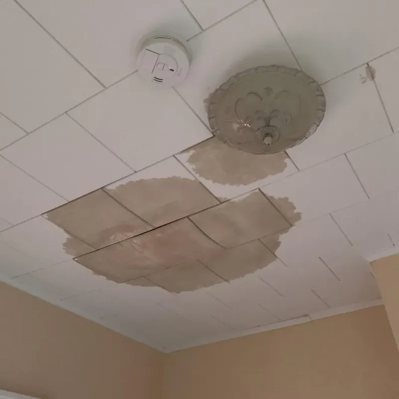 Ceiling Water Damage Repair in North Oaks, MN