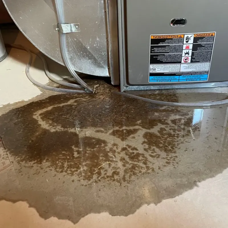 Pipe Burst and Leak Restoration in North Oaks, MN